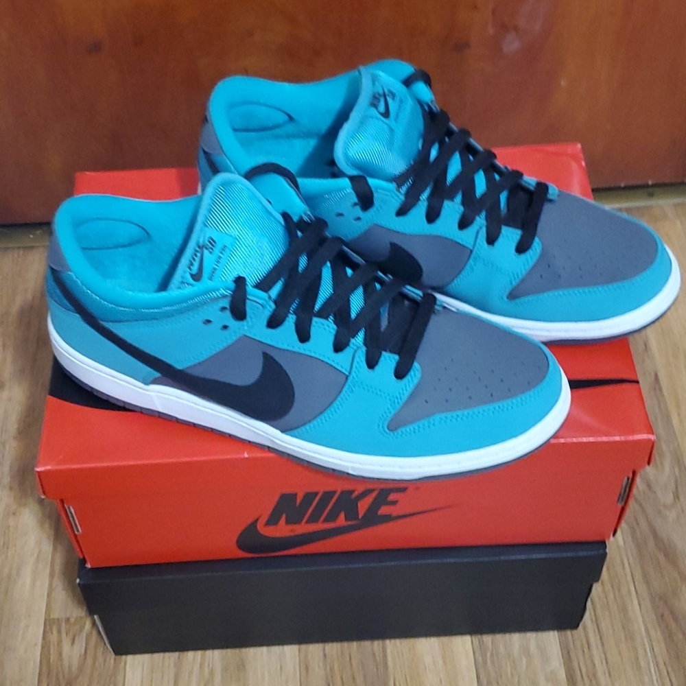 Mens Nike SB size 13